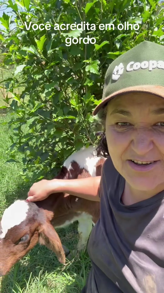 @Silvana Franco /vida na roça