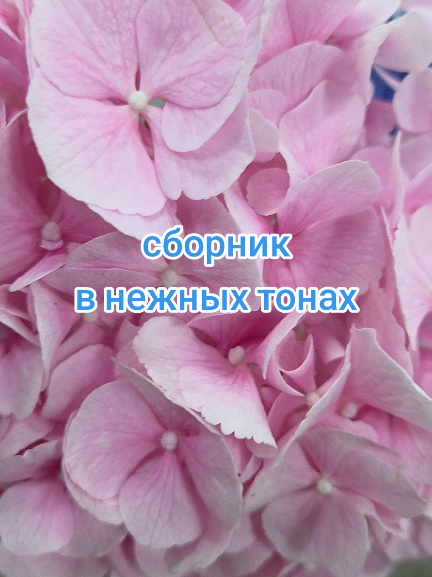 @Снежана