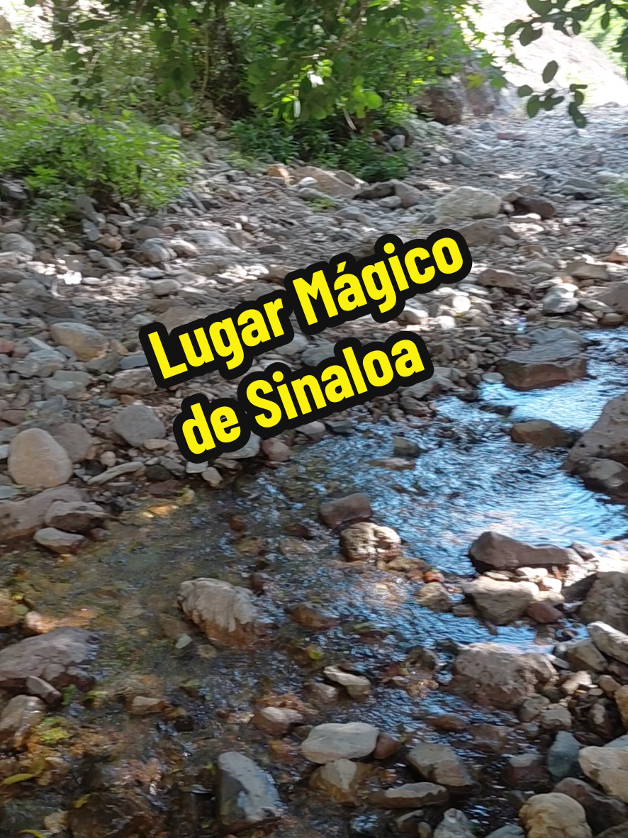 @De Todo RL Guasave