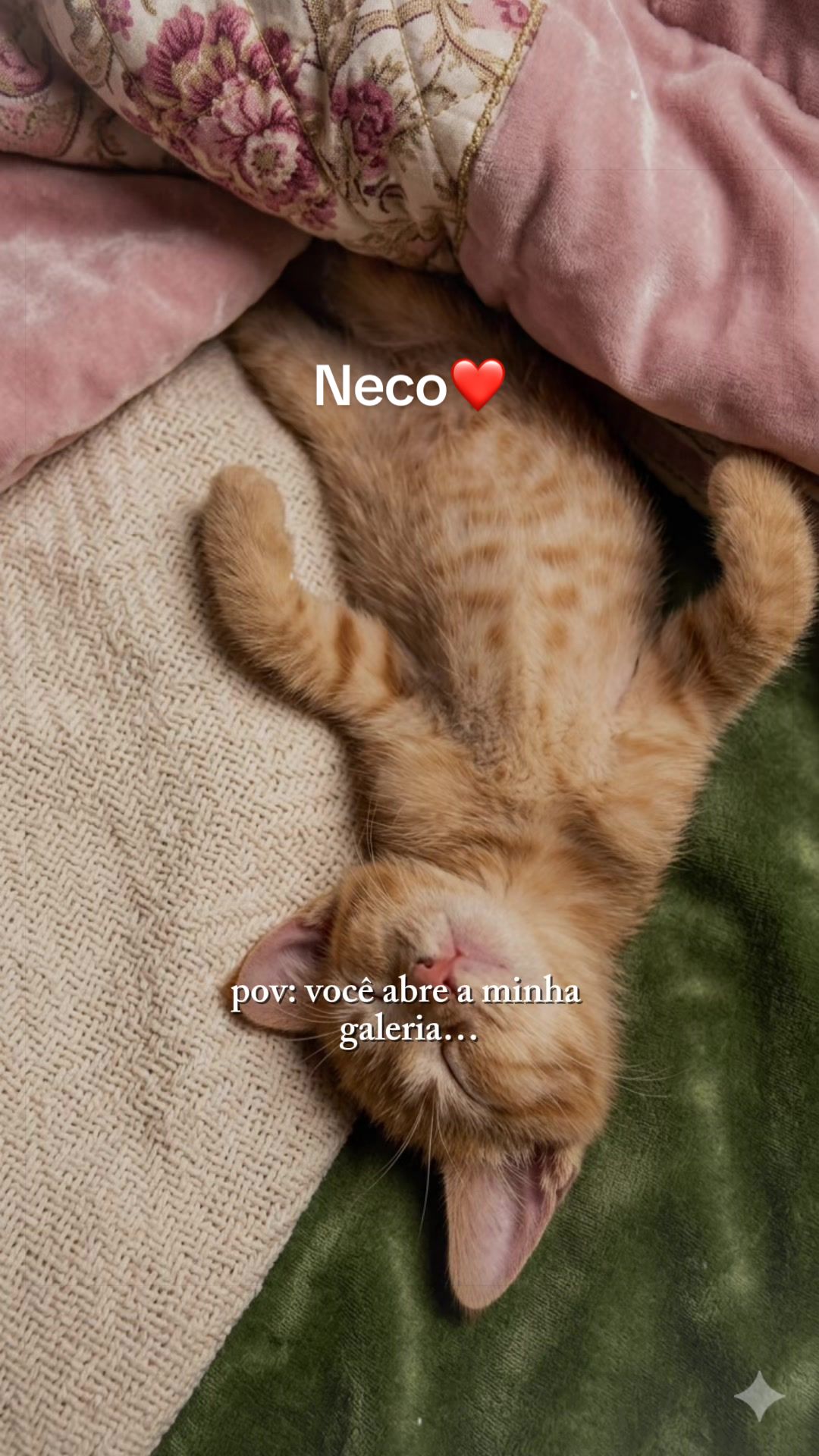 @Dina Paiva 🧩
