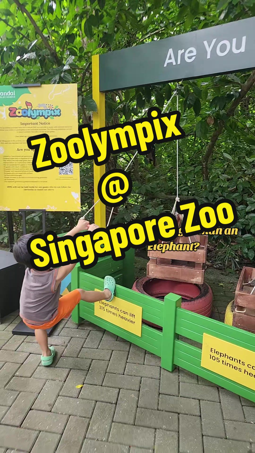 @FunTimeSGKids