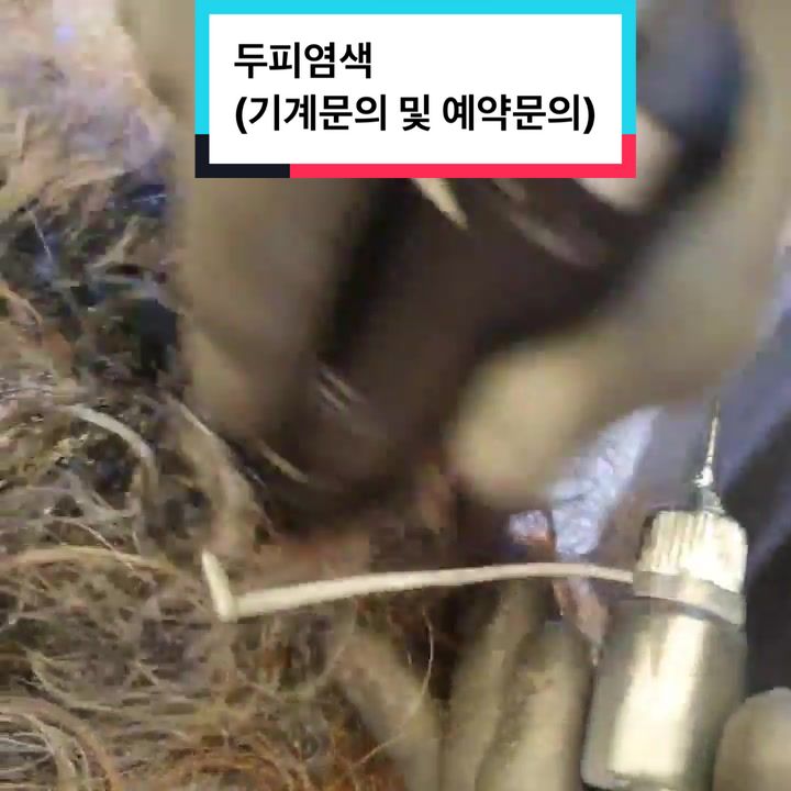 @두피염색&헤드스파하는 남자 킹콩킹