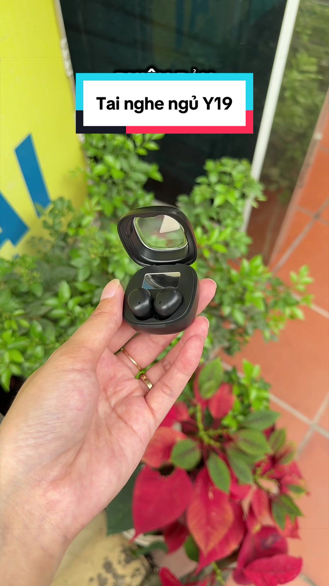 @Tuấn B&igrave;nh Thường