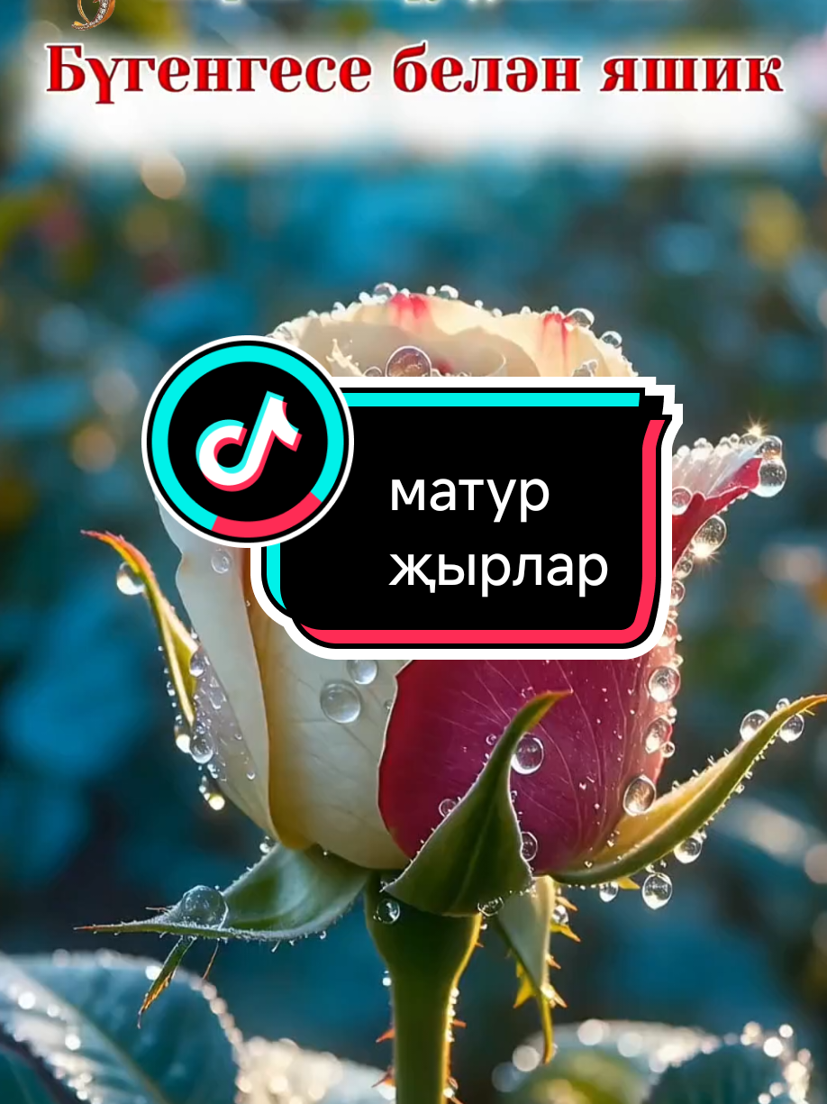@💕☪татвидео открытки☪︎ 💕