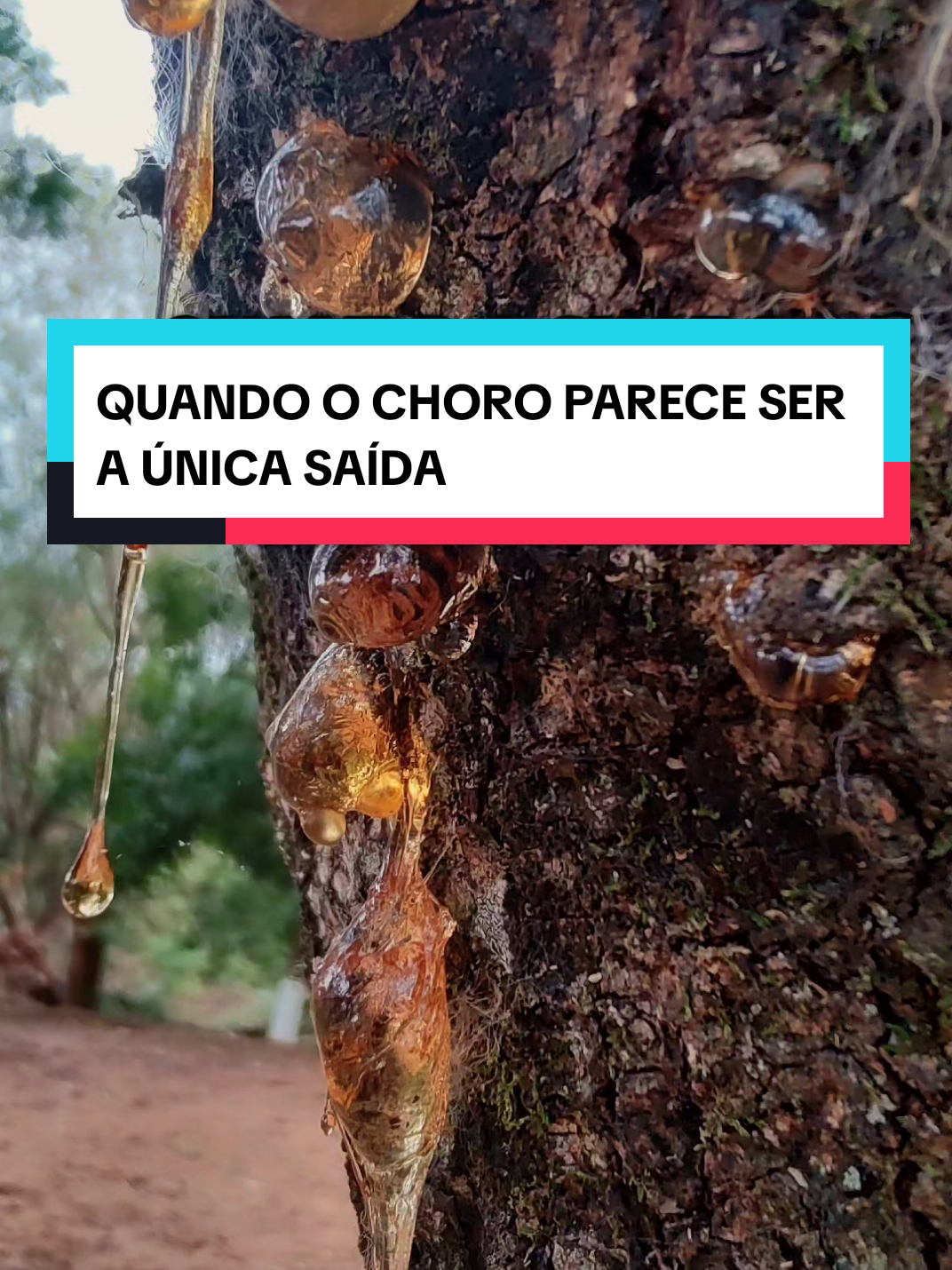 @Consciência Universal