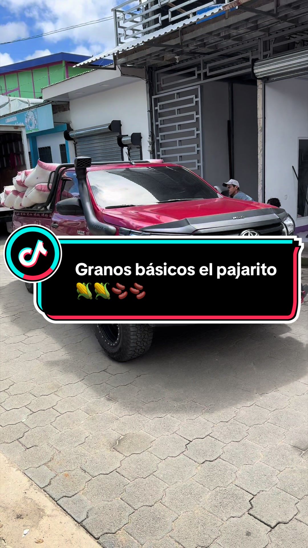 @Granos b&aacute;sicos &eacute;l pajarito 🌽