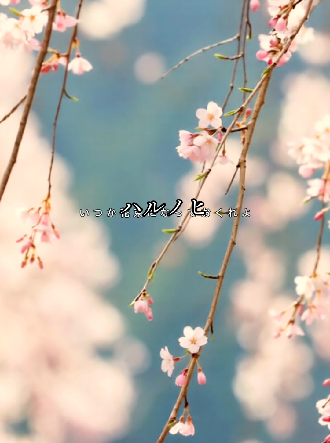 @ざっきぃ