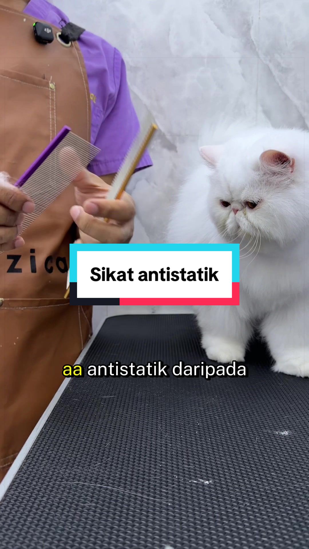 @MOZICAT | CAT GROOMING RAWANG