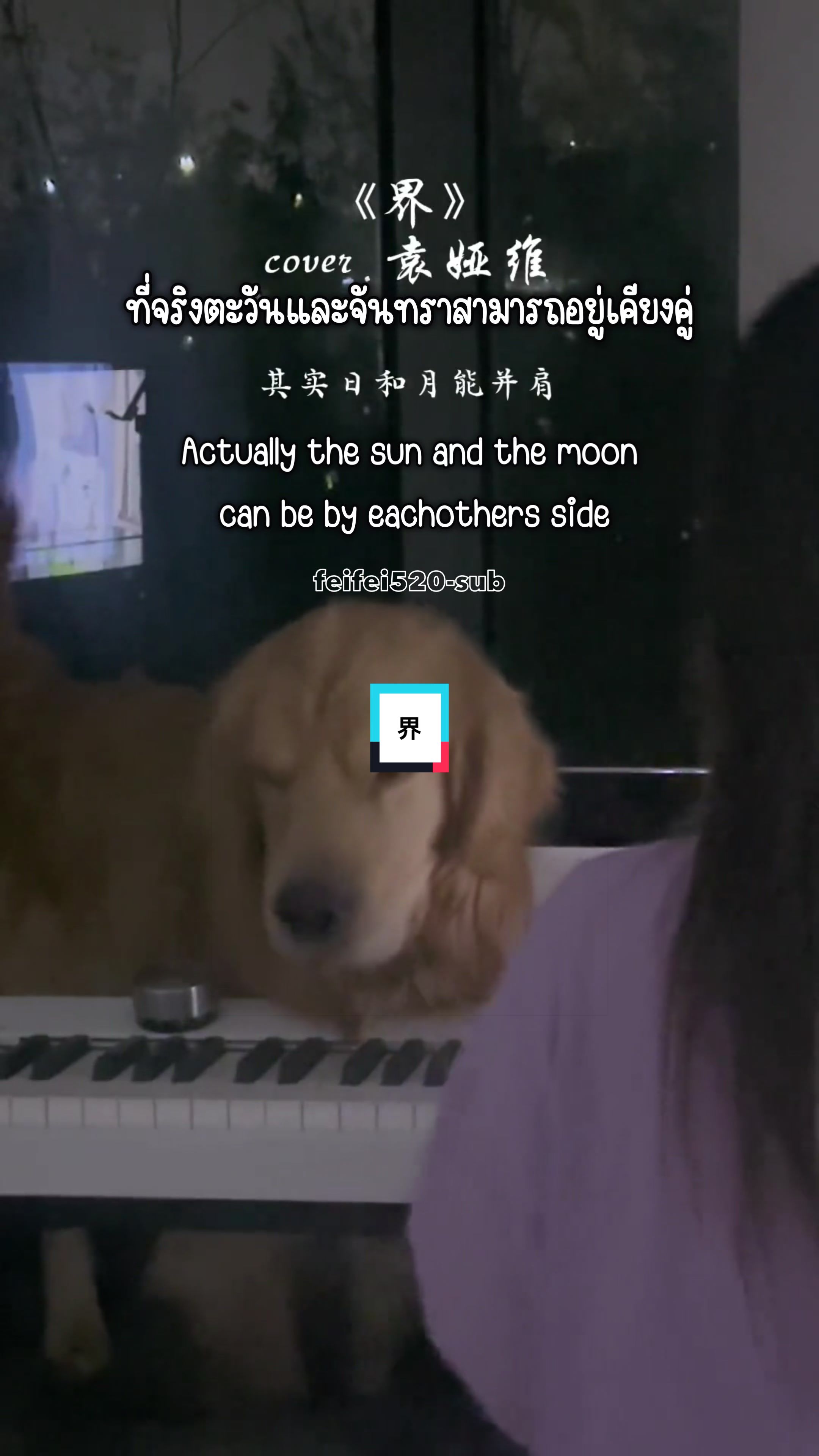 @feifei520