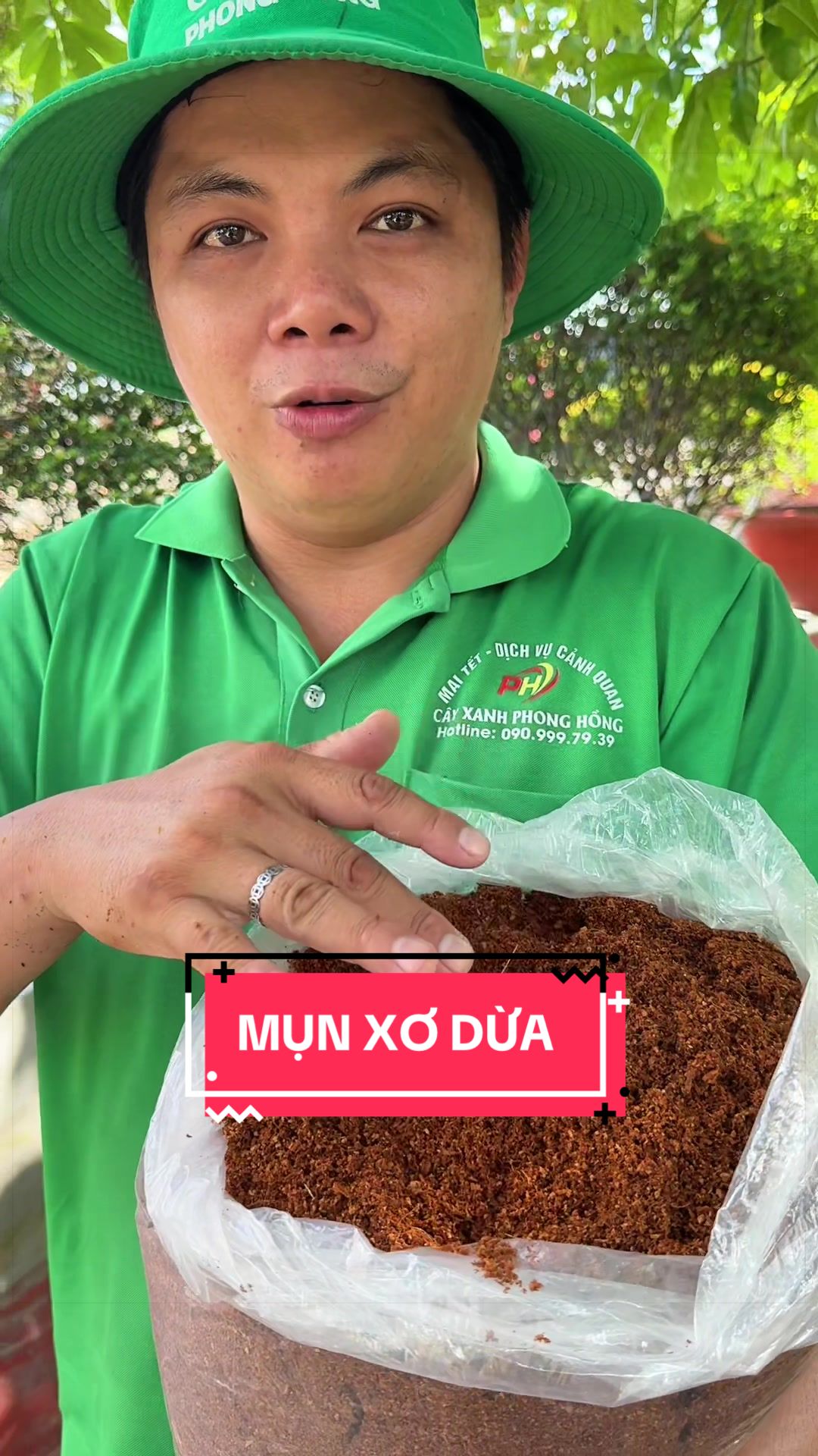 @C&acirc;y Xanh Phong Hồng
