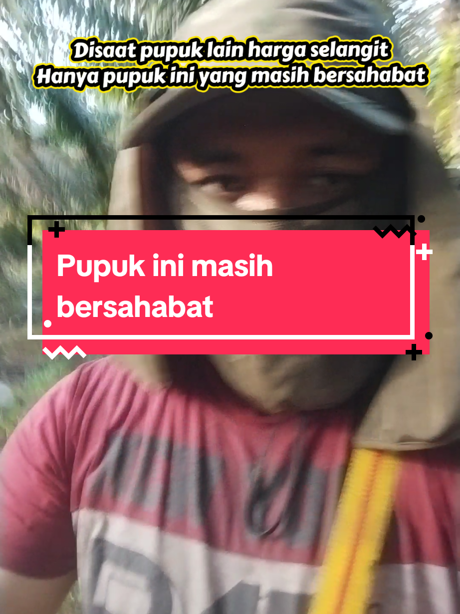@IG Nusantara