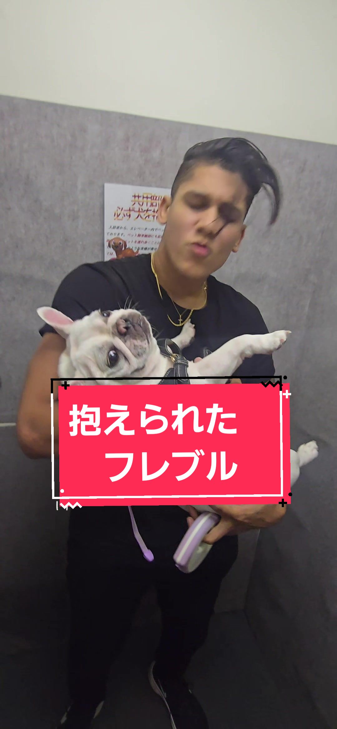 @フレブルJesse ❤️ MyO