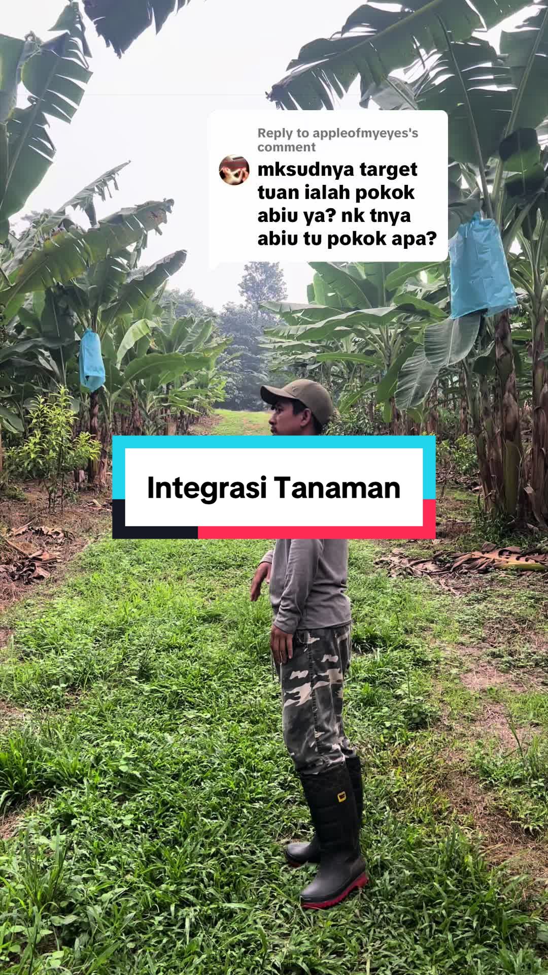 @Dusun Cikgu Mail