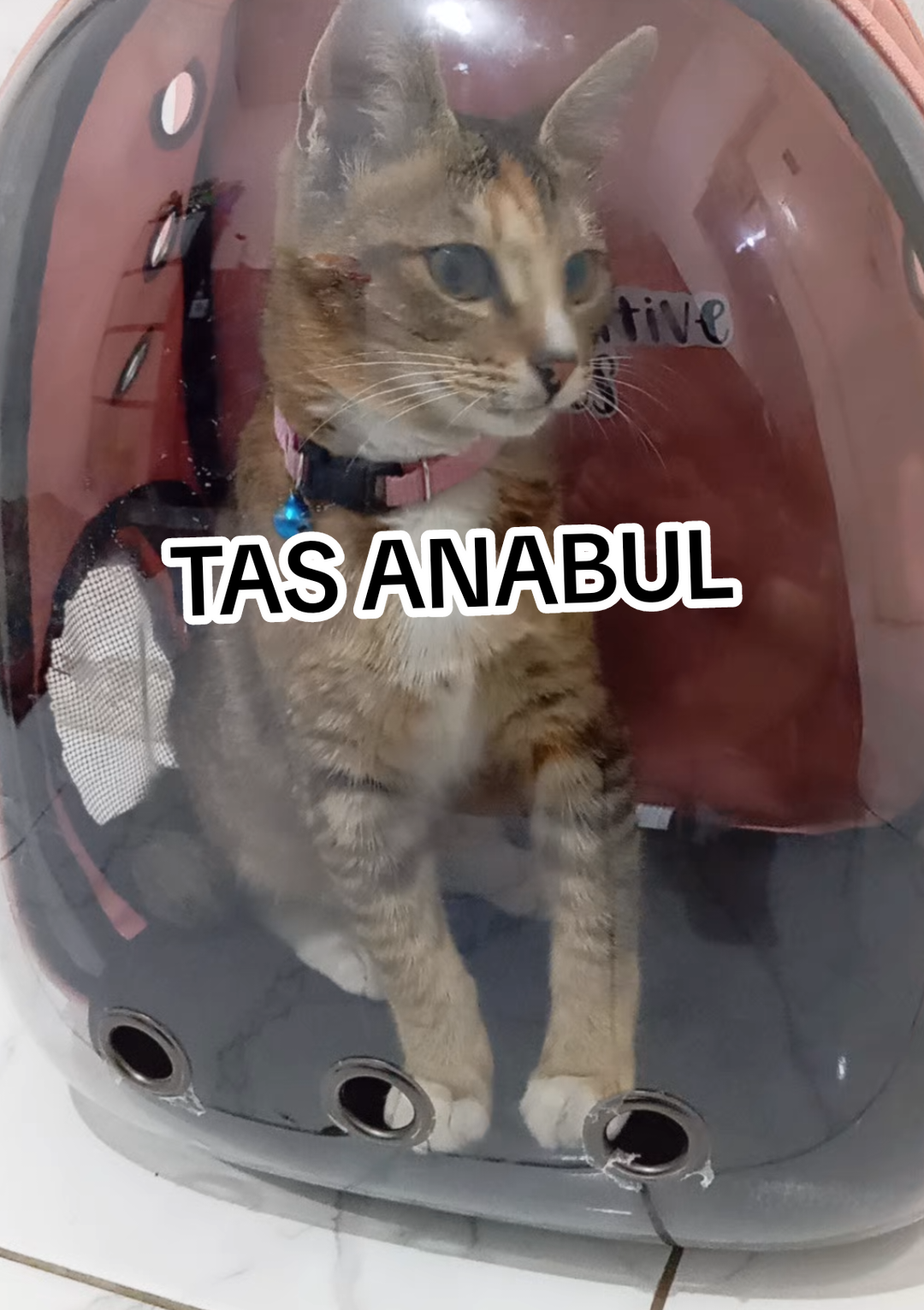 @Vaulvah