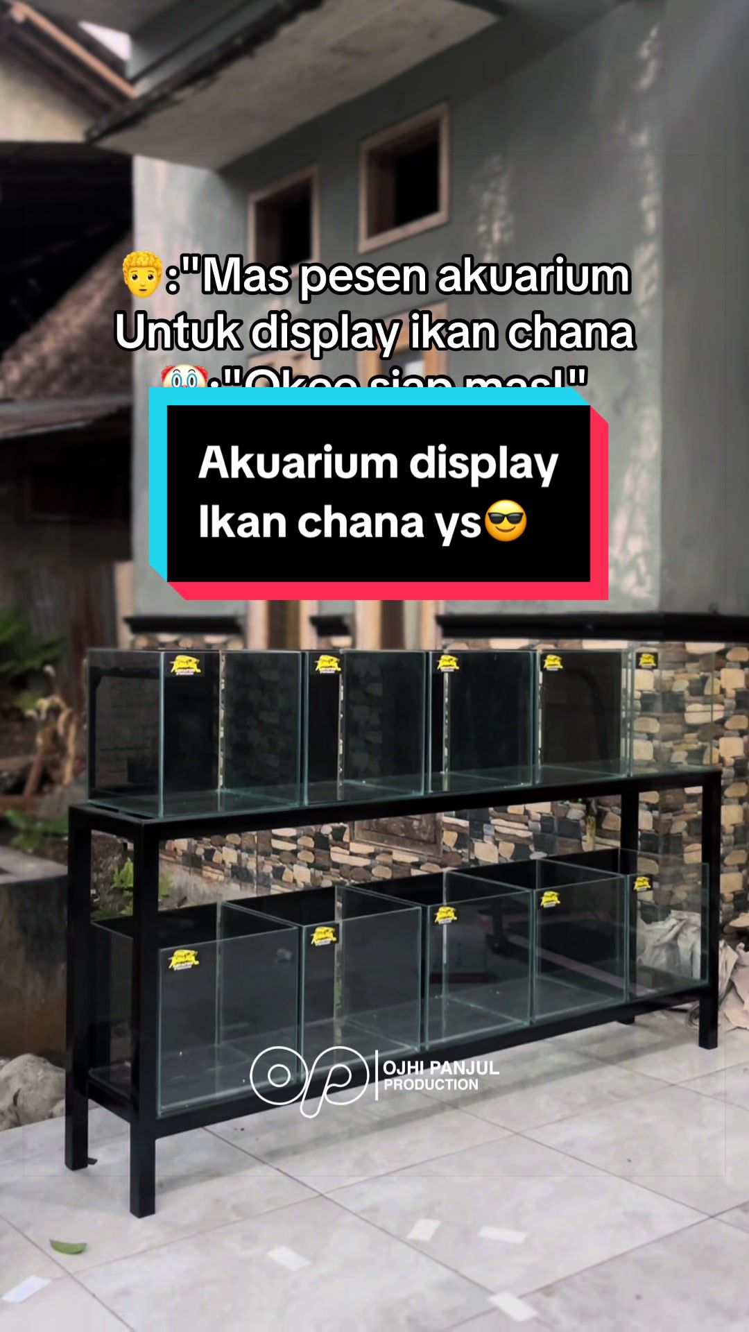@Panjul Aquafish