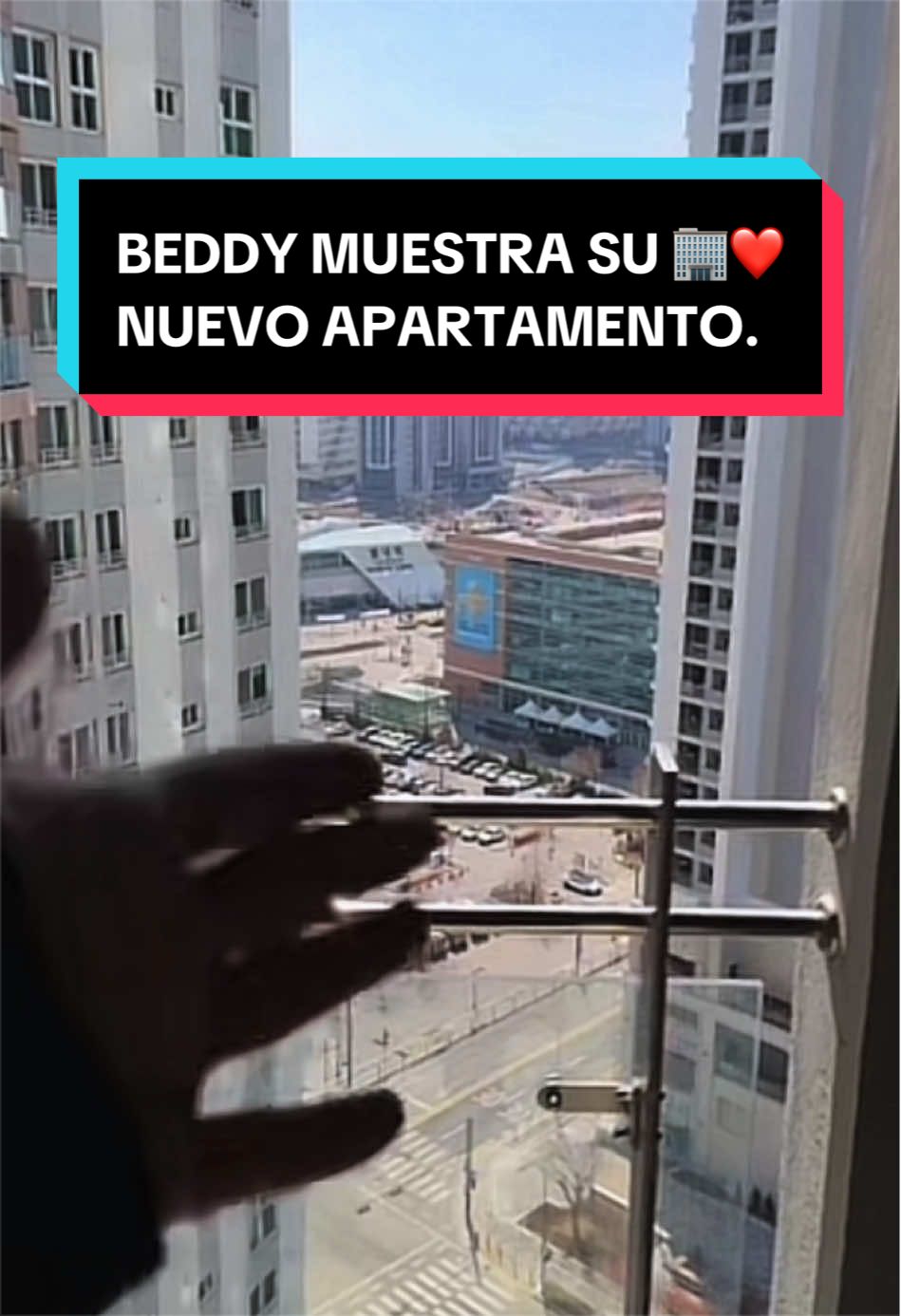 @🧸💖Chichibeddy🇰🇷🇩🇴