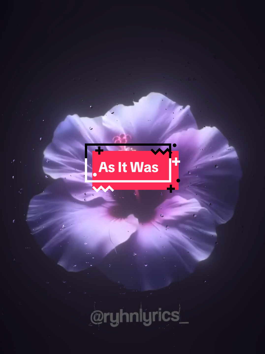 @𝟑𝟎𝟑 𝐑𝐲𝐡𝐧