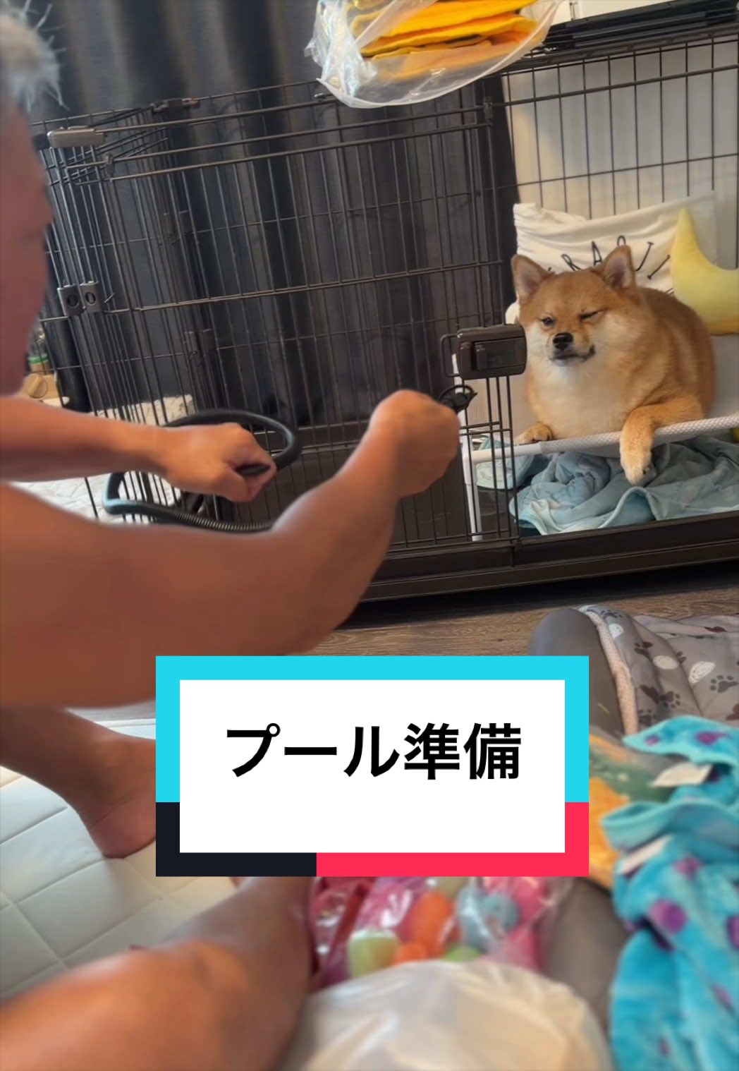 @🐶とん&ぺっぺこぺー🦊