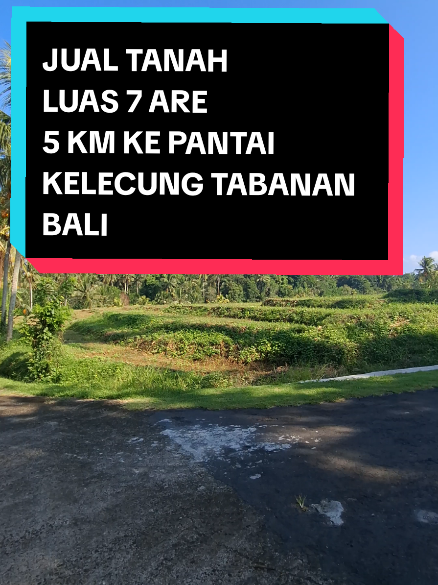 @Balinese Broker Bali