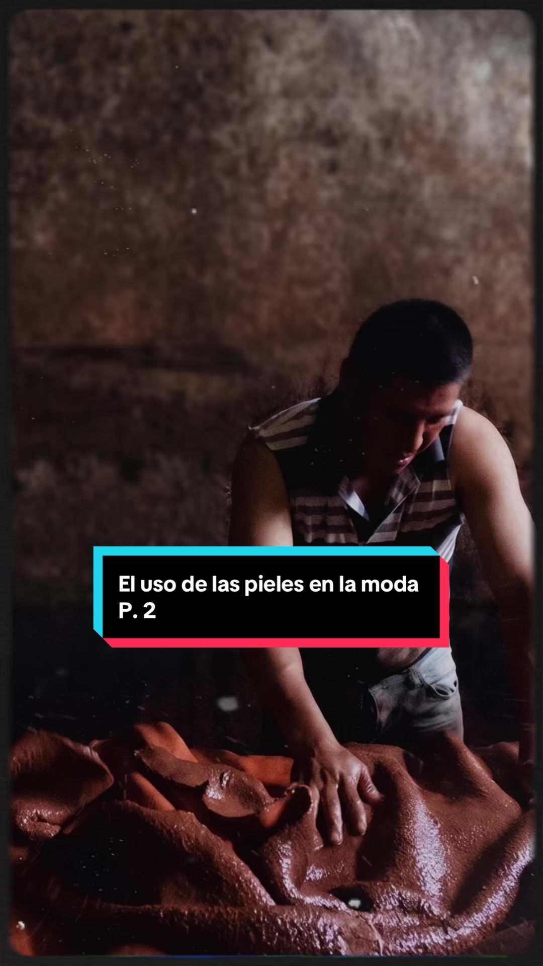 @farahinsider