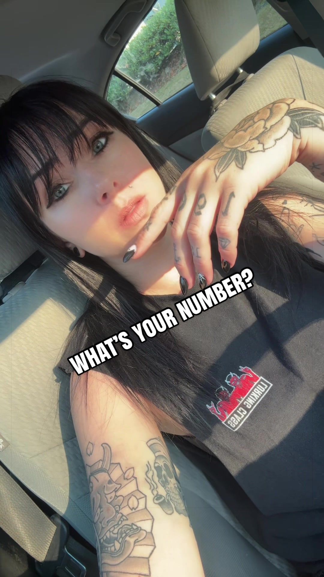 @Cat