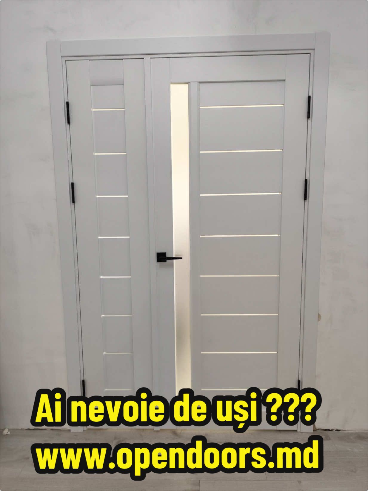 @usi.opendoors.md