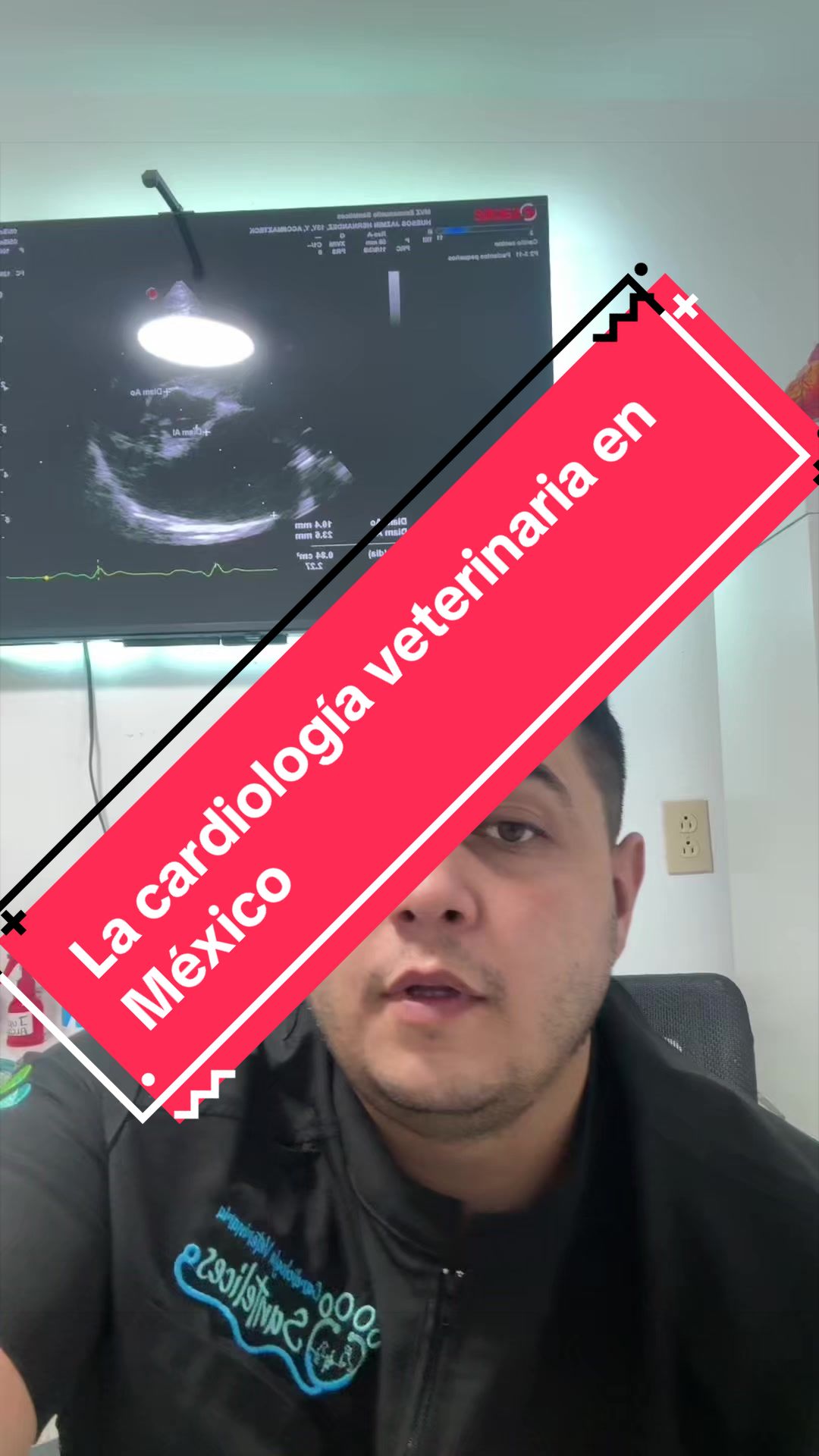@mvzcardiovetsantelices