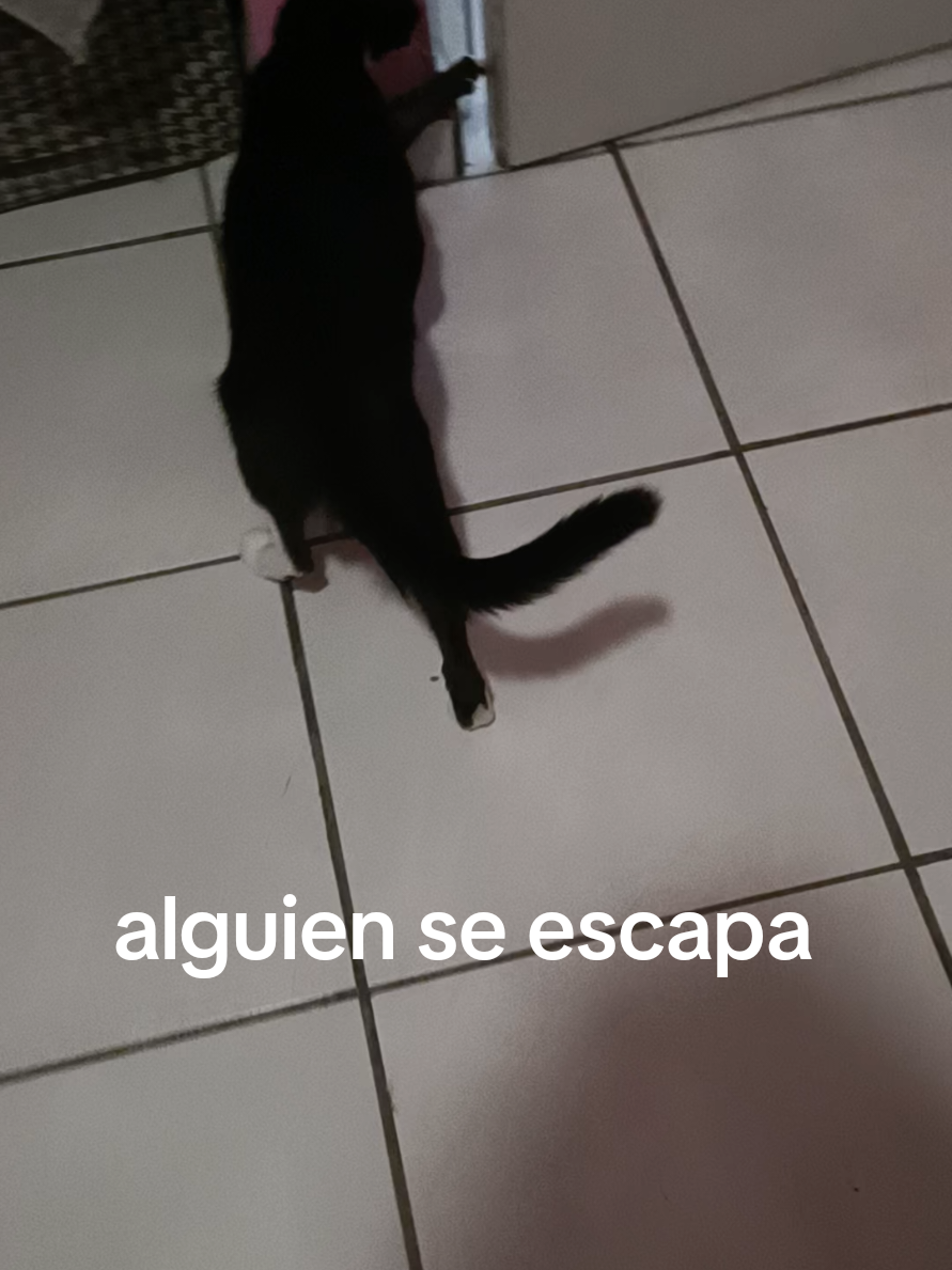 @negrita y peluche