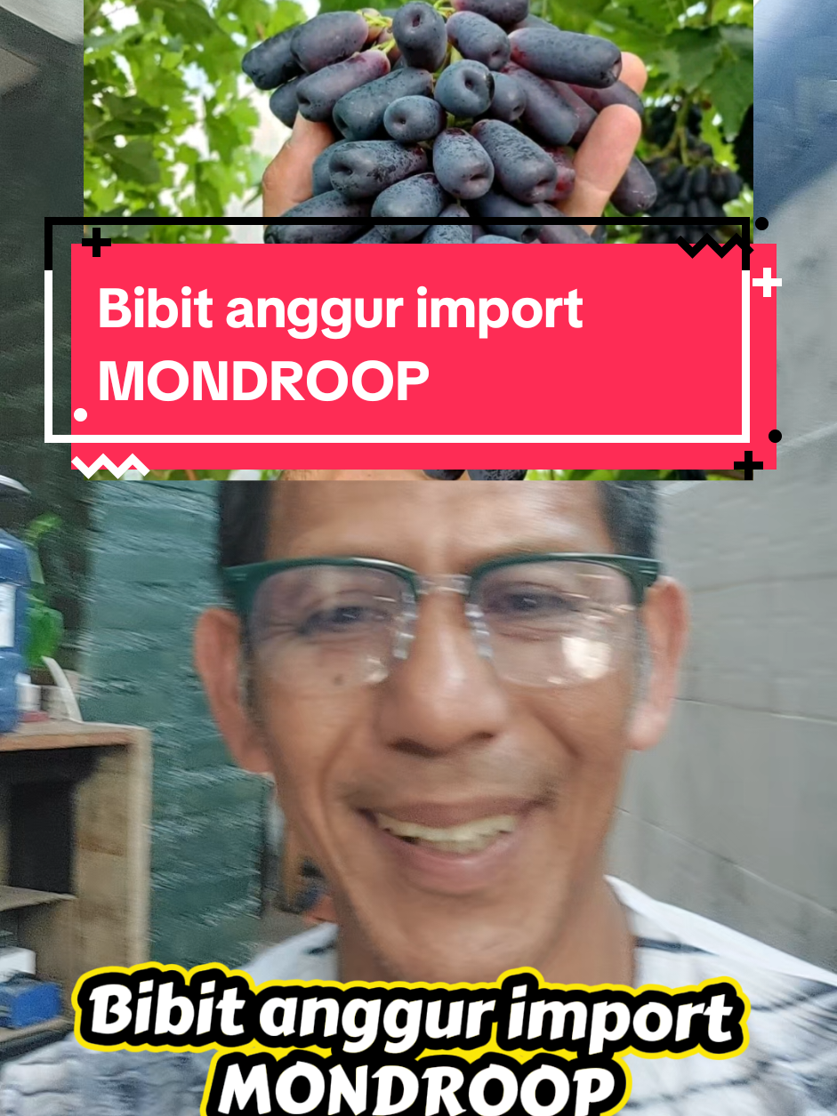 @De Sunggau