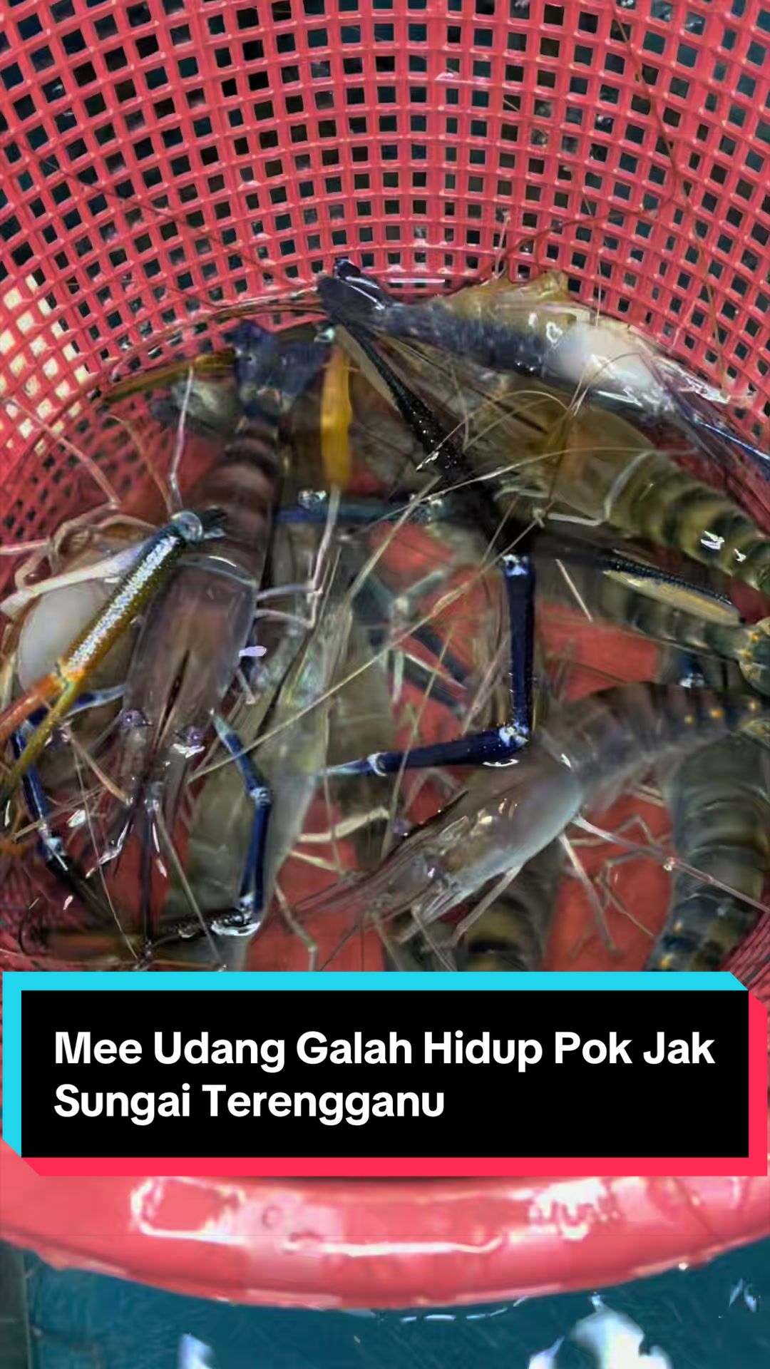 @Barang Lulus