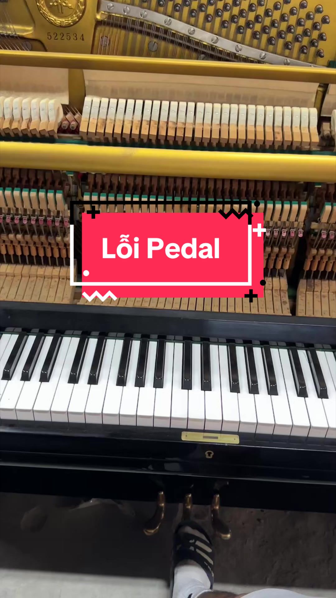@Trí Hiền