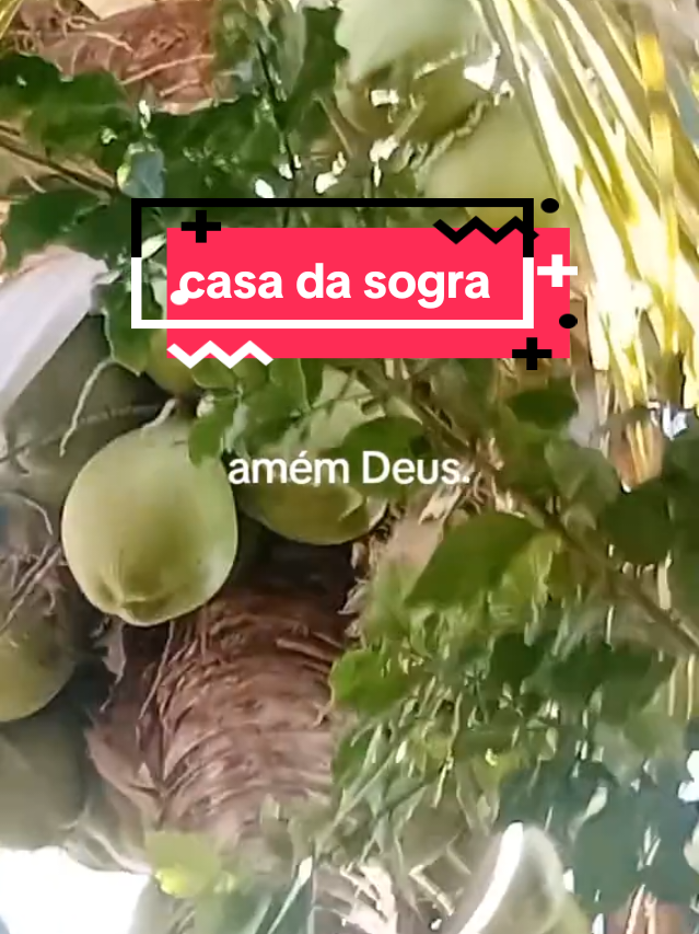 @Ione Silva