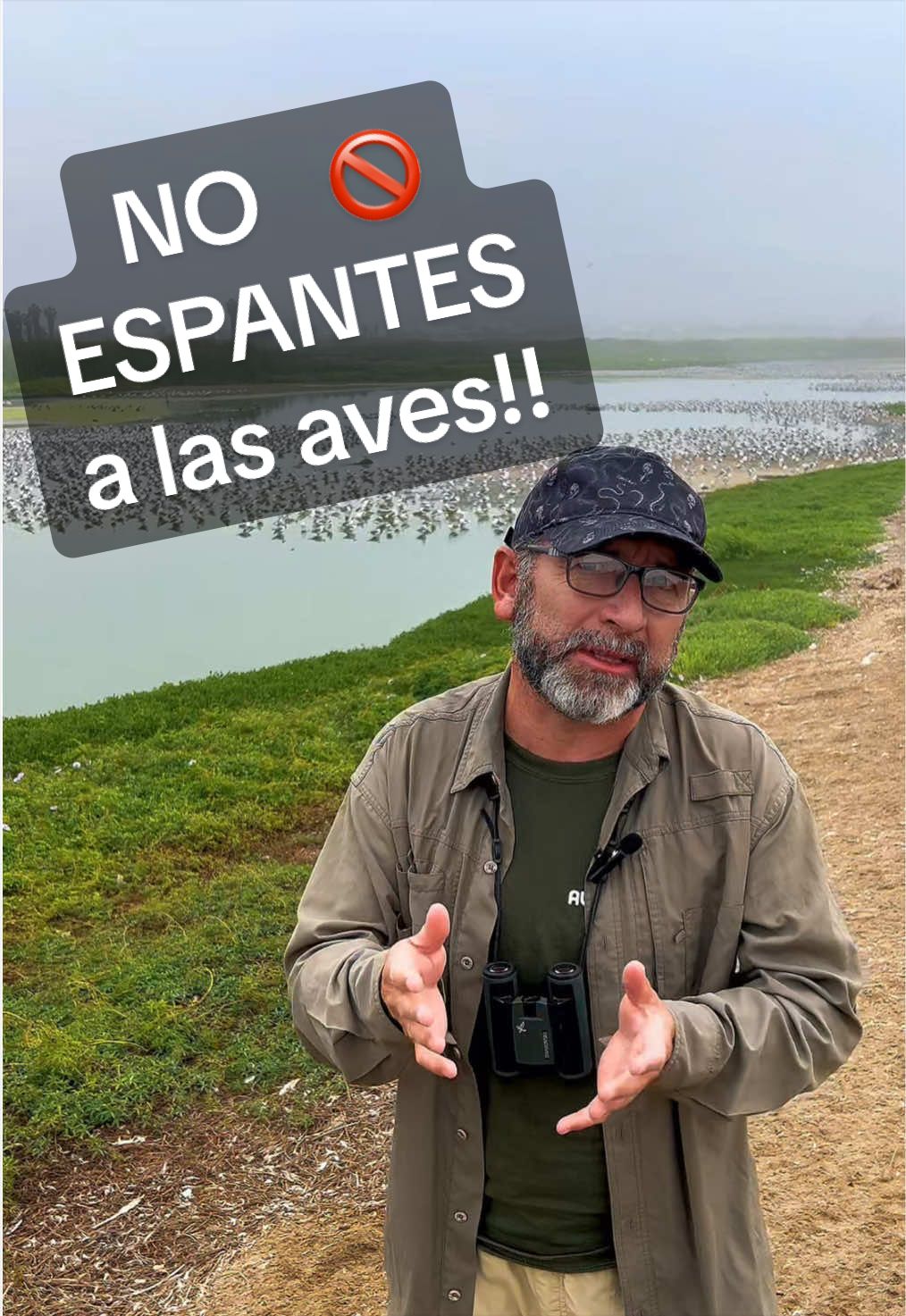 @Avistando Peru