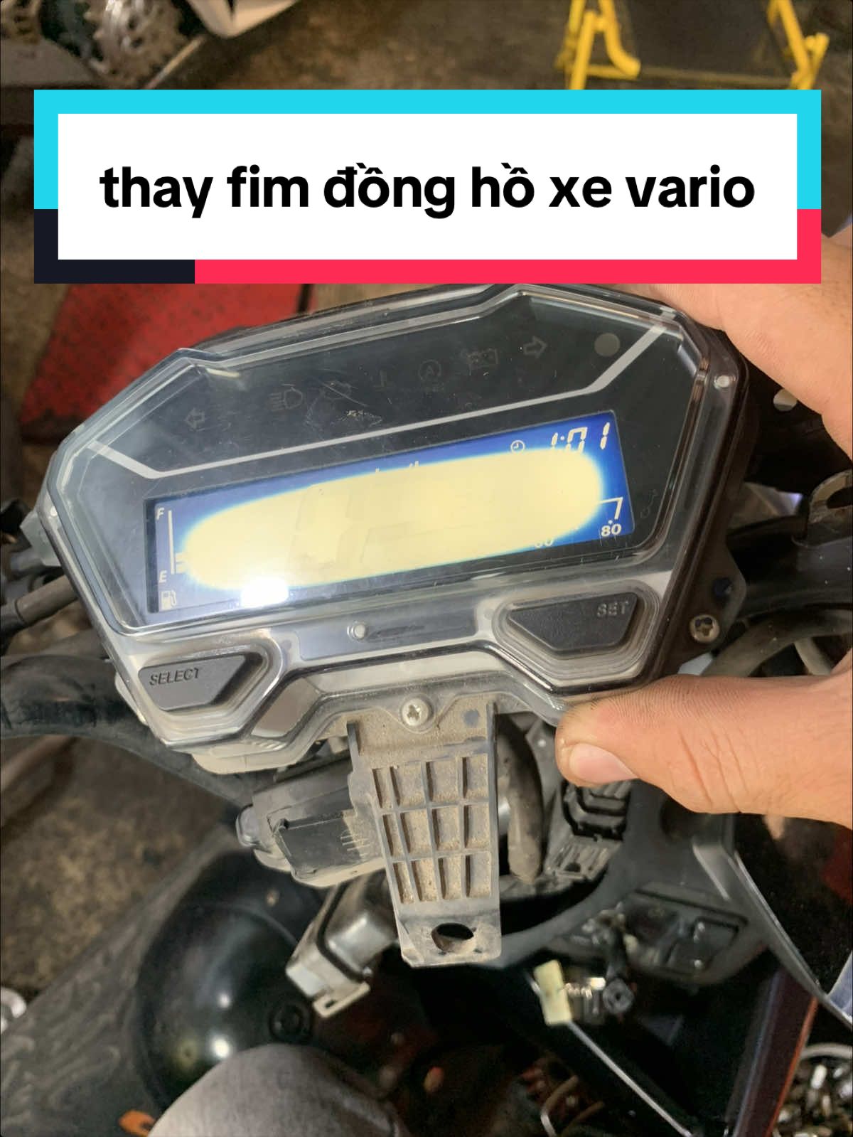 @Tiến racing shop quận9