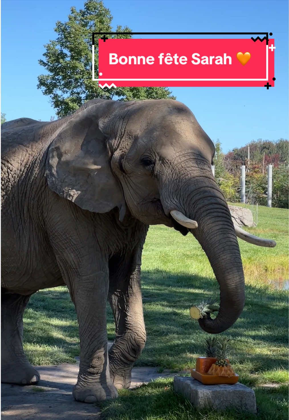 @Zoo de Granby