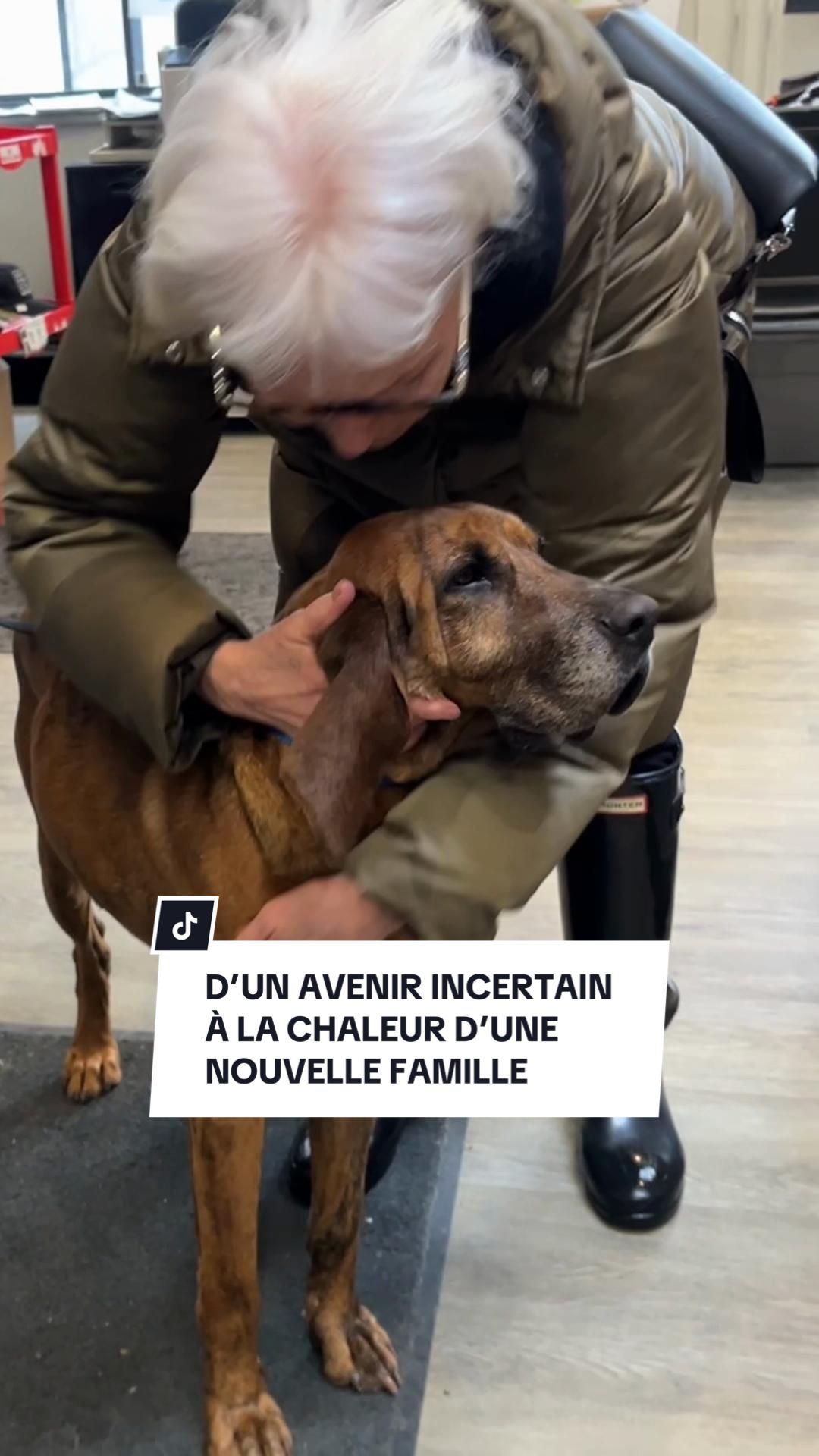 @Montreal SPCA