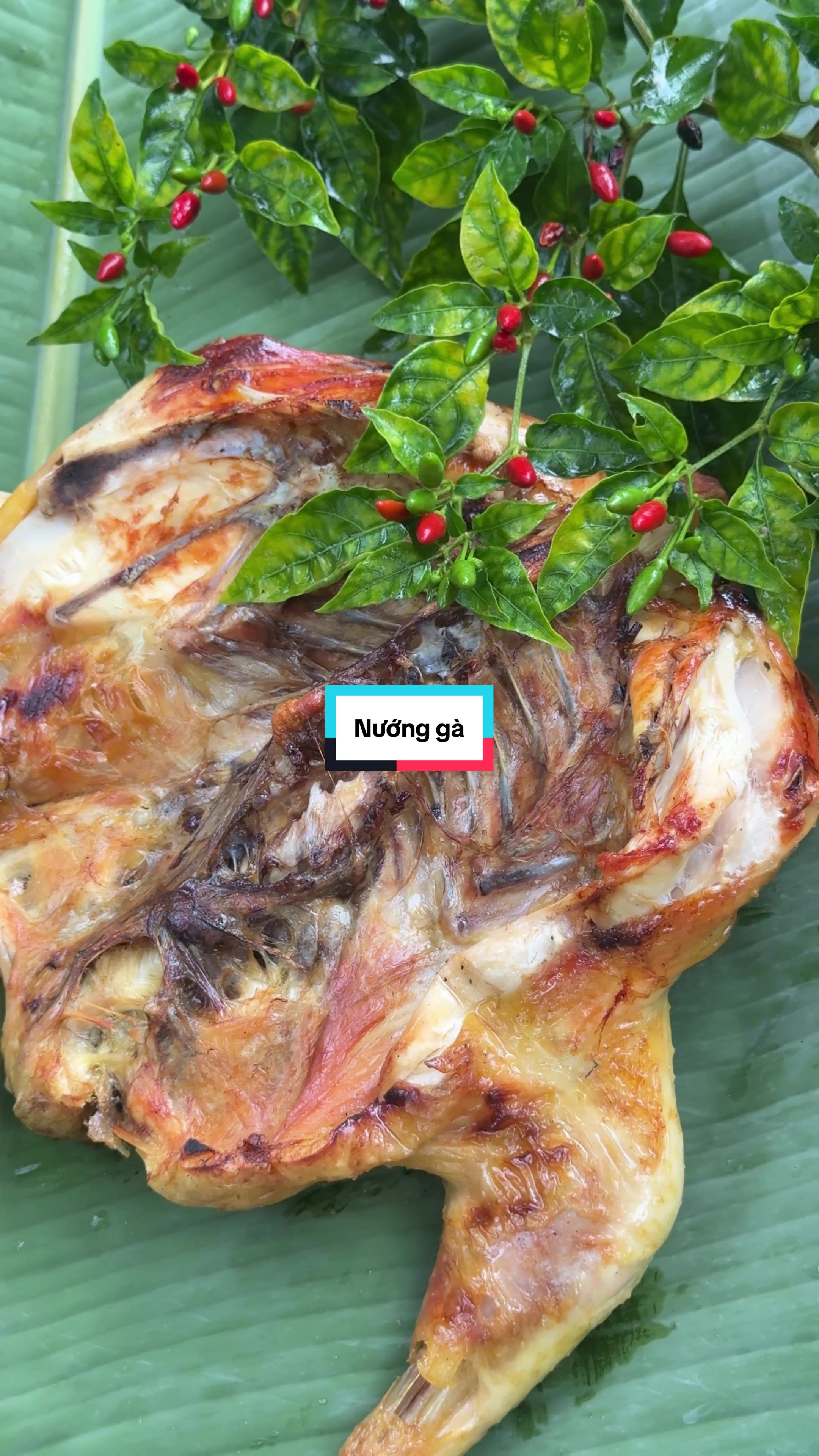 @Sức Tày