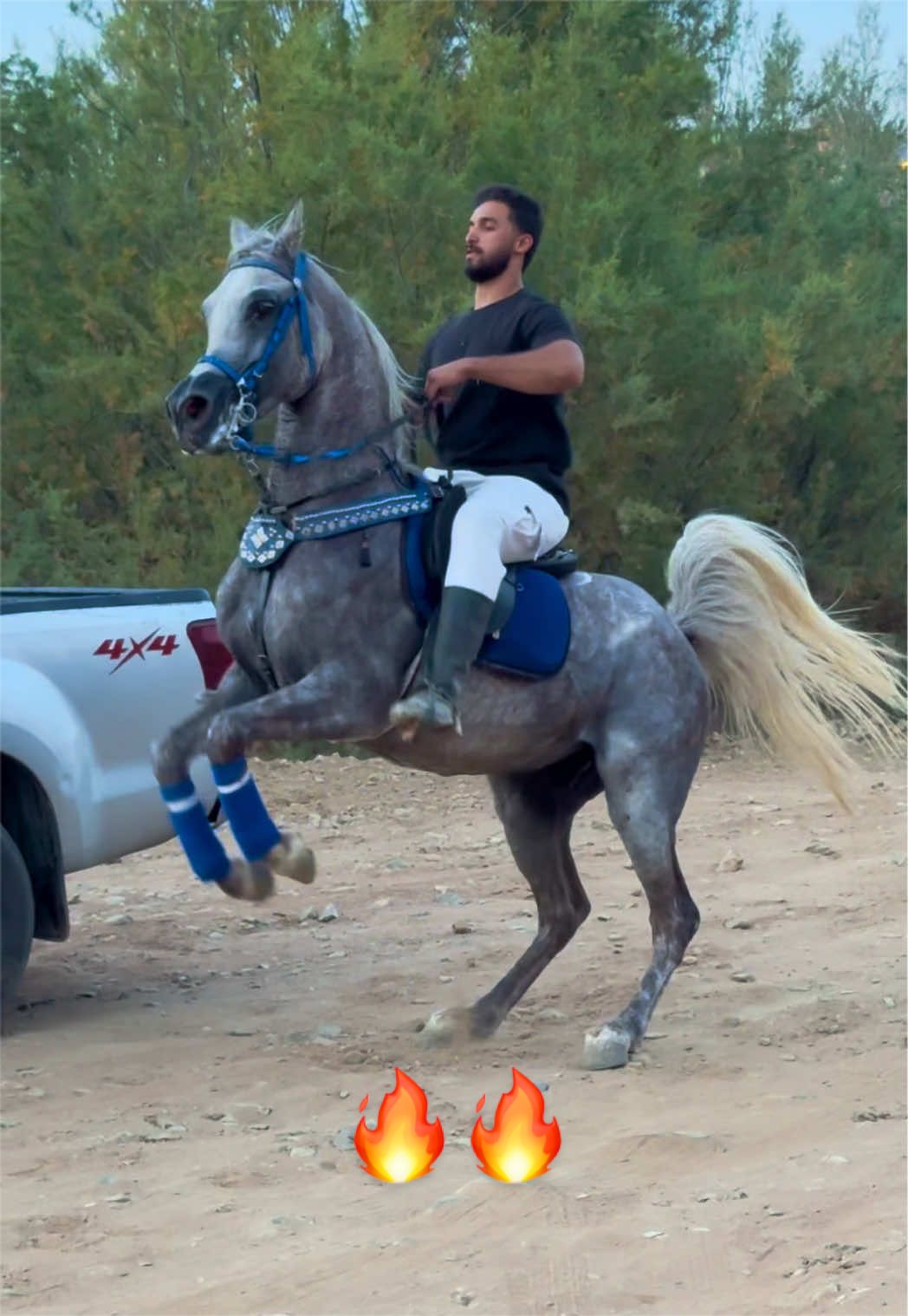 @بـاسـل الـوادعـي⭐️🐎