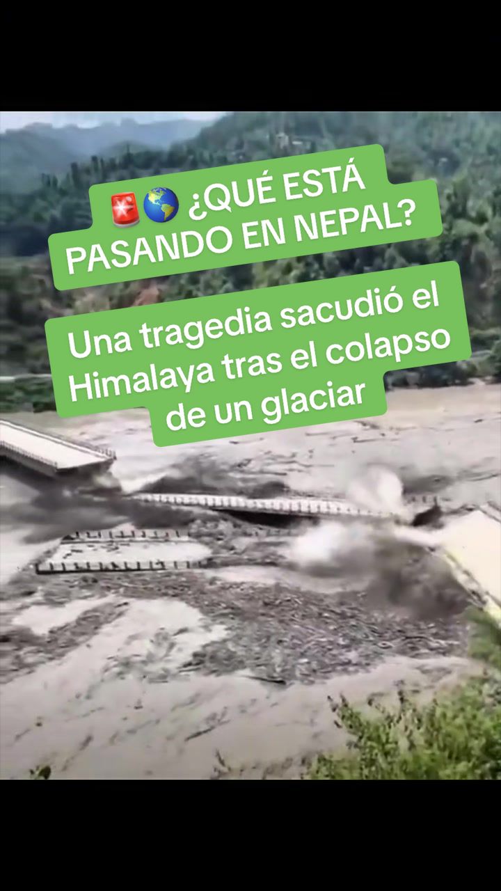 @La Neta Del Ambiente