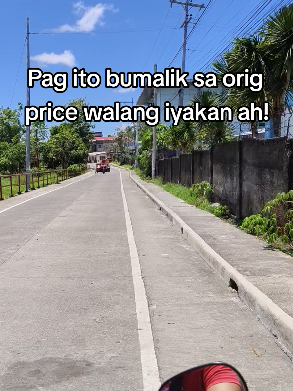 @Ms. C