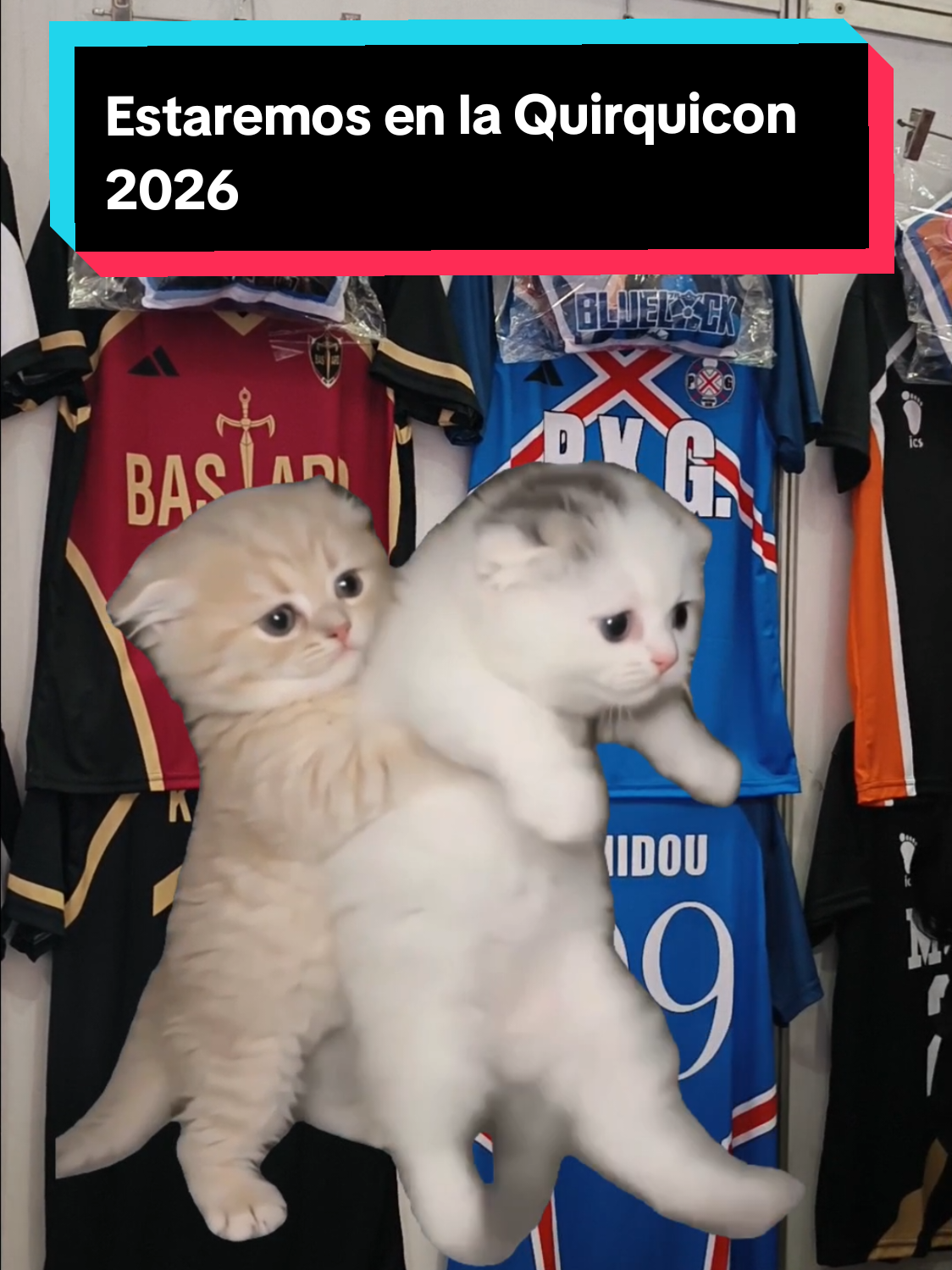 @Li Cosplay