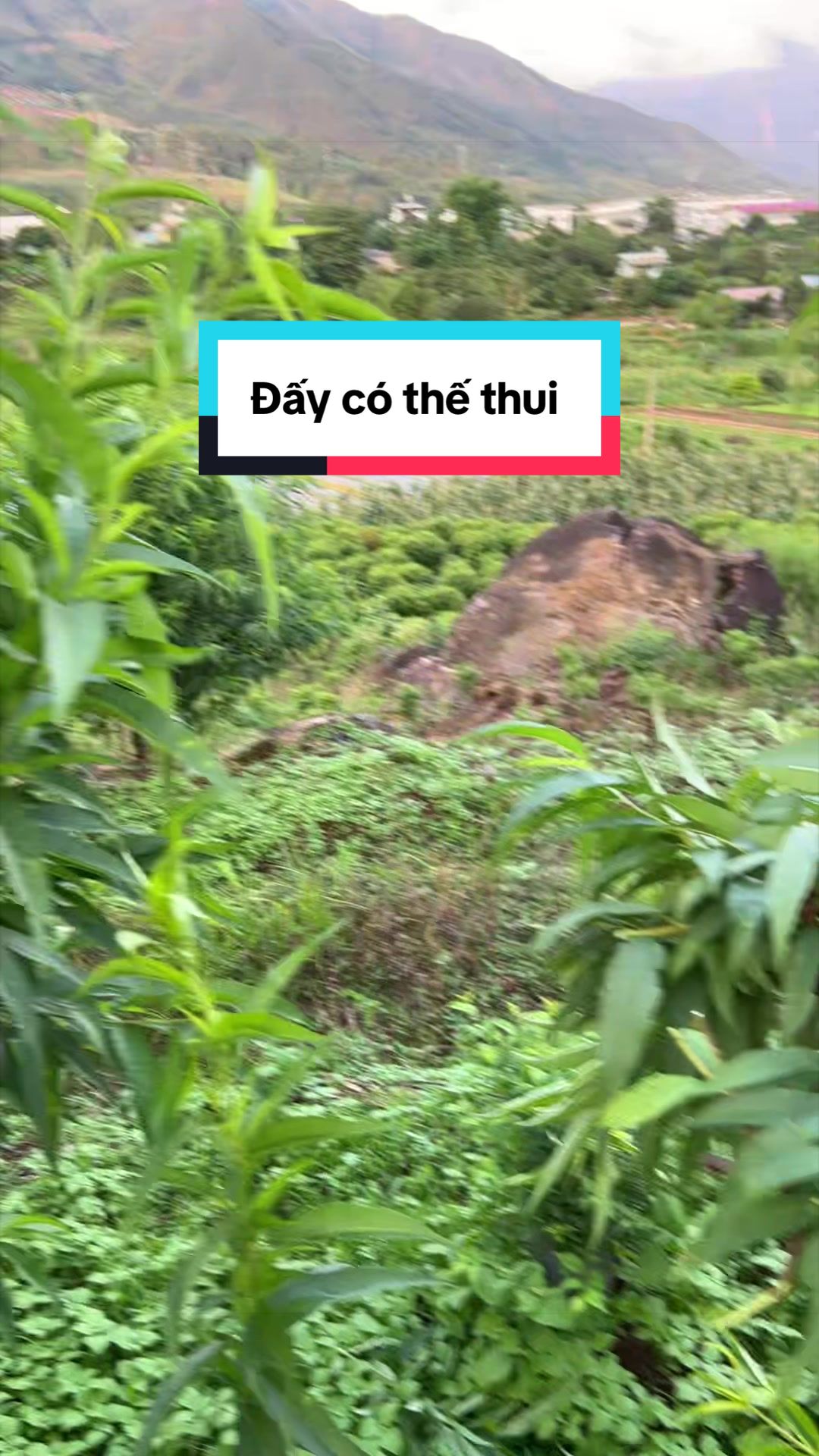 @Dung Nh&acirc;y