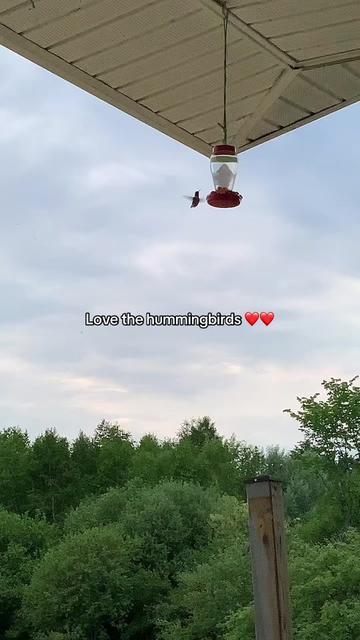 @🇨🇦Rachael&rsquo;sFunnyFarm2025🧚🎸