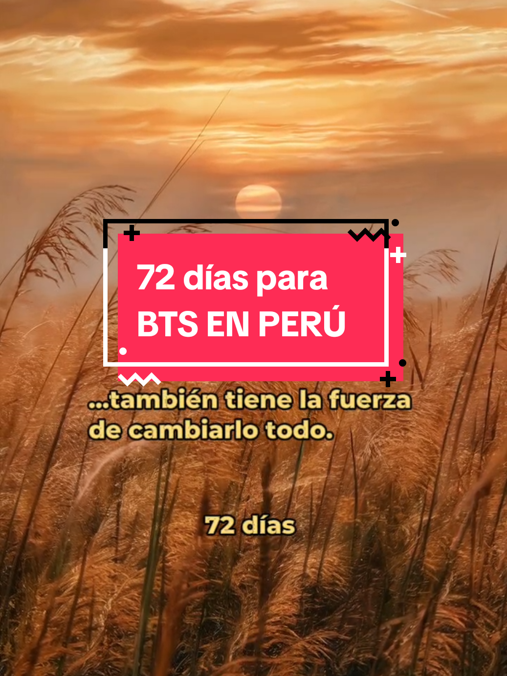 @Universo Púrpura
