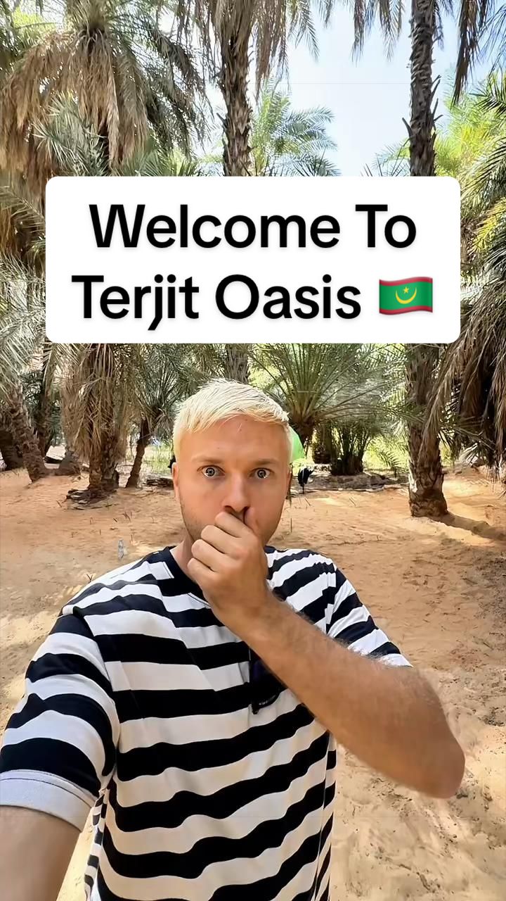 @gus1thego
