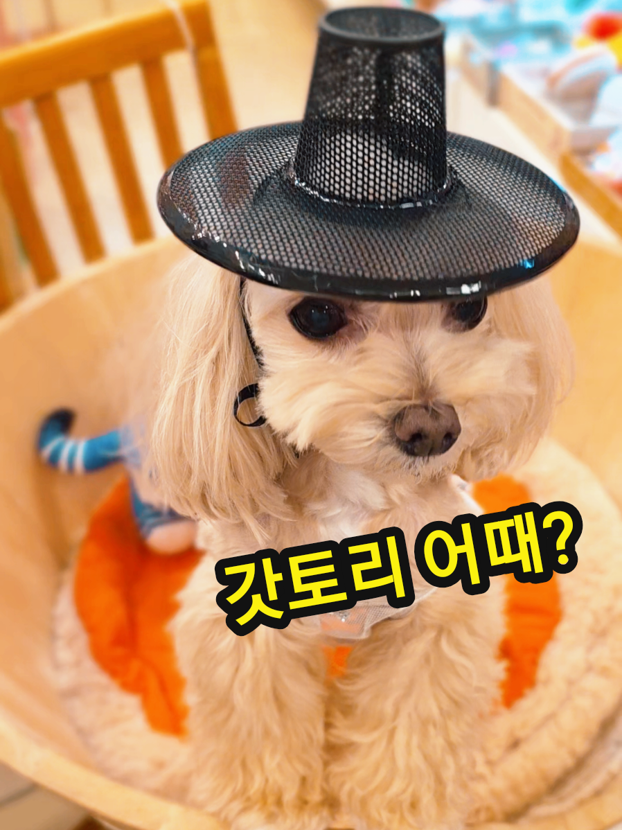 @토리엄마