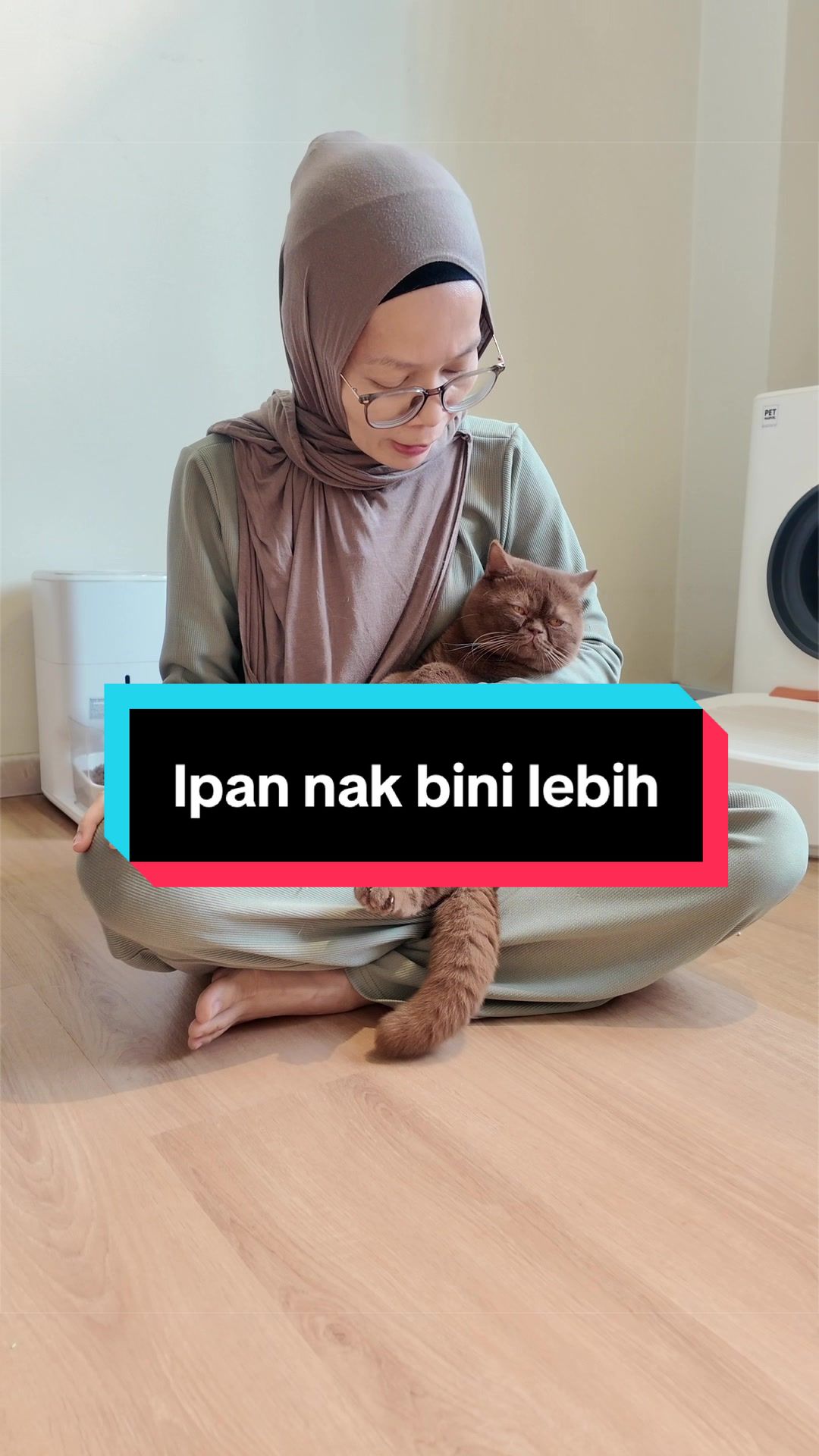 @kucingliar kl