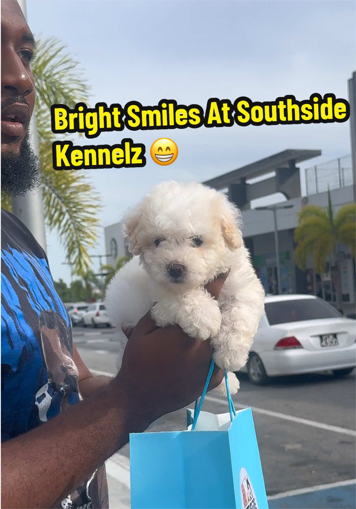 @SouthSide Kennelz