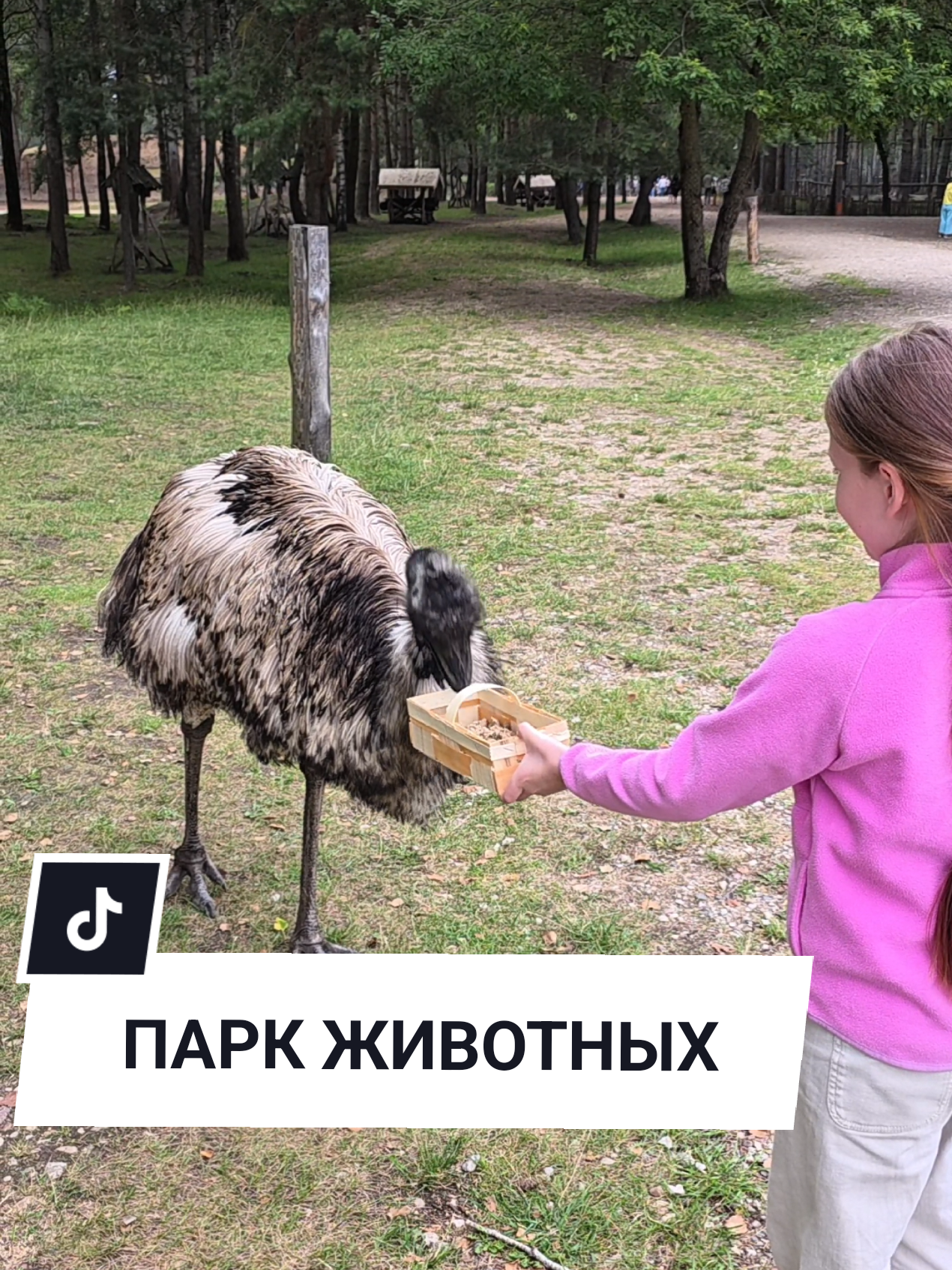 @Аня Бобруйск