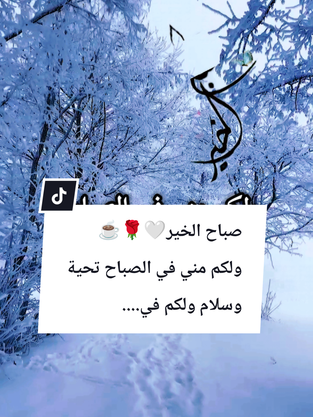 @🌟𝗦𝗼𝘂𝘇𝗮𝗻 𝗖𝗵𝗮𝗺𝘀